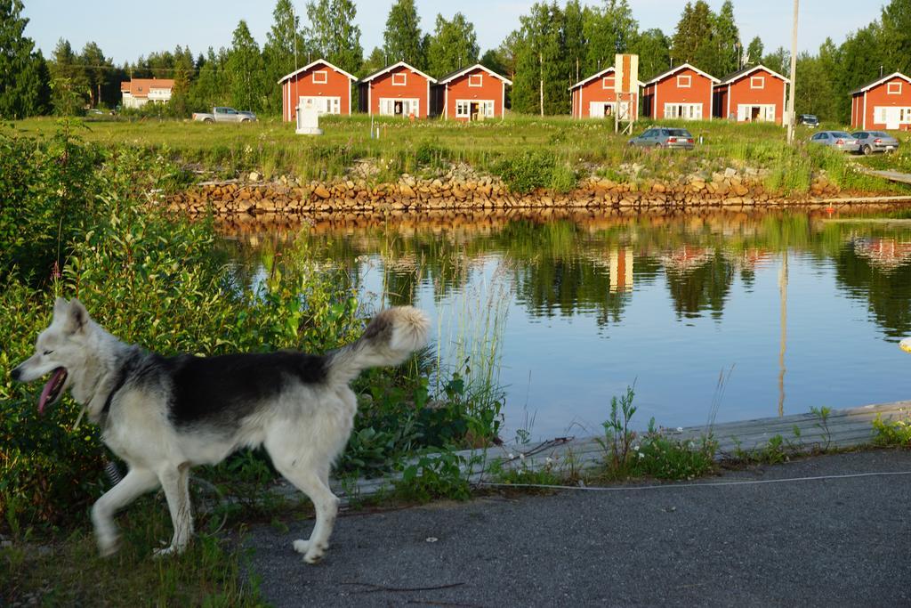 Wanha Pappila Cottages Simoniemi Eksteriør billede